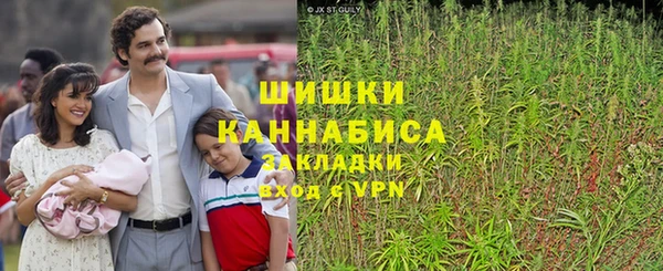 трава Абаза